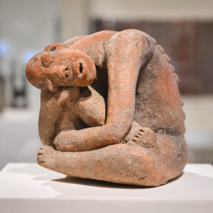 A New Era for the Indigenous Arts at the Met